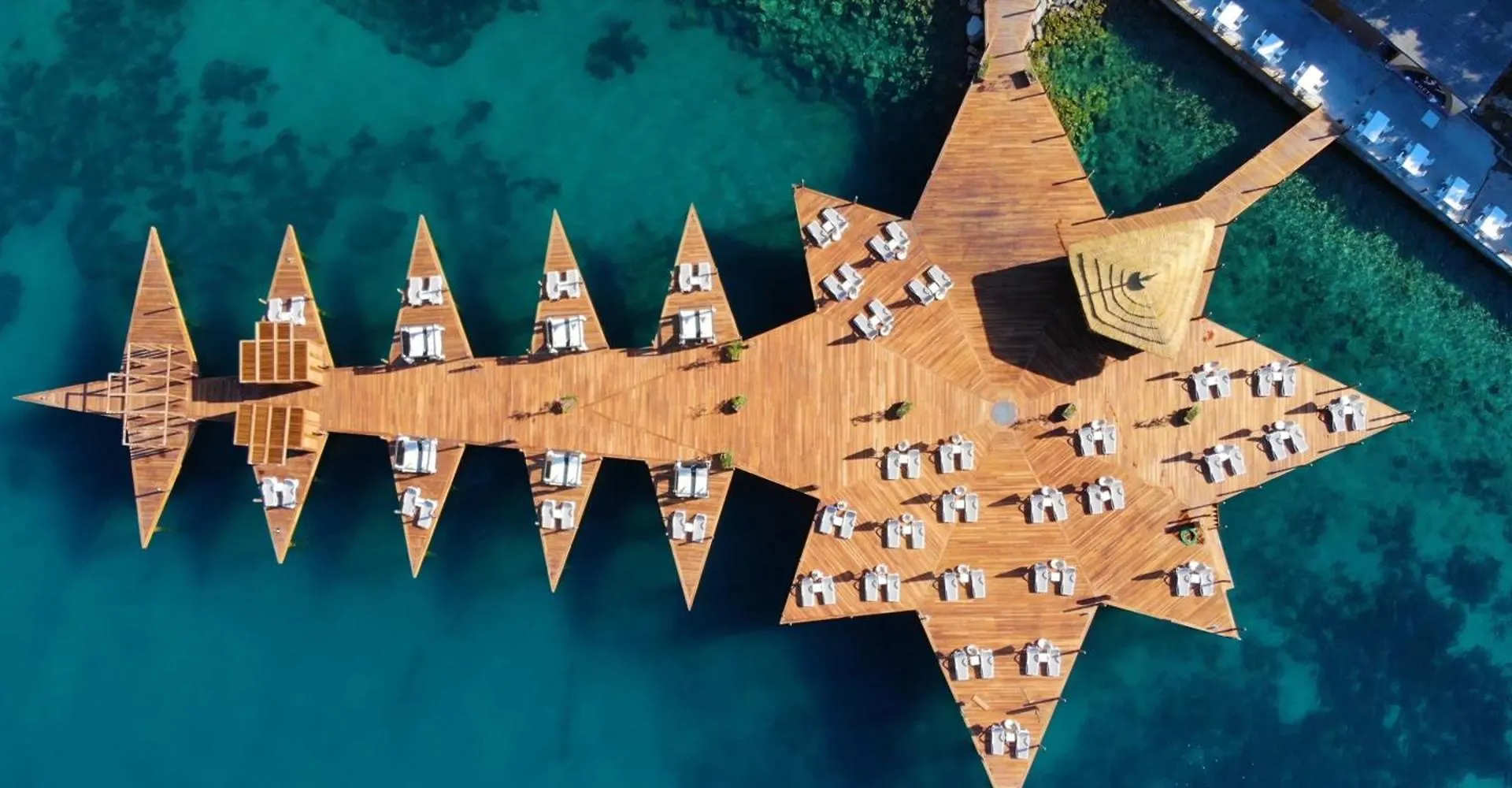 Duja Bodrum توربا